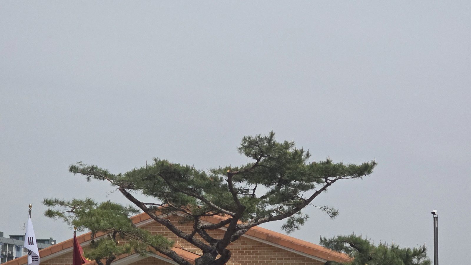 병충해목벌목 완료 현장