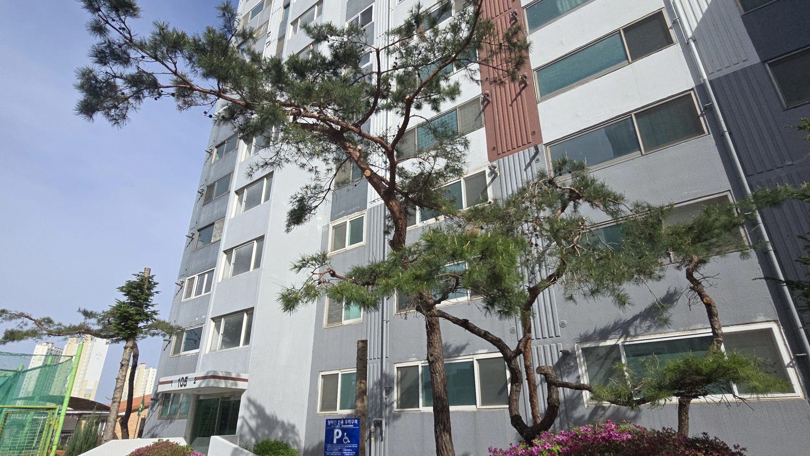 태풍피해목처리 완료 현장